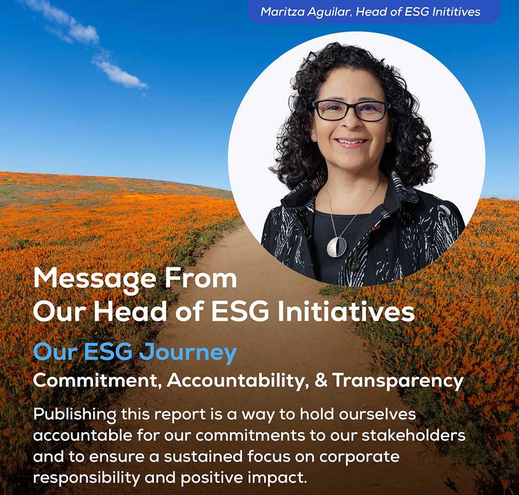 ESG Strategy