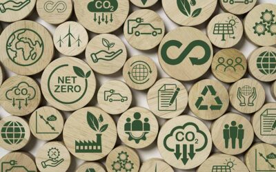 How to Make Your Workplace More Sustainable