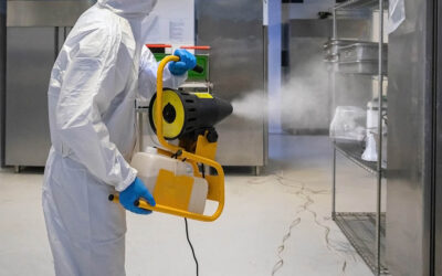 How Electrostatic Spraying Services Transform Workplace Culture and Competitive Advantage